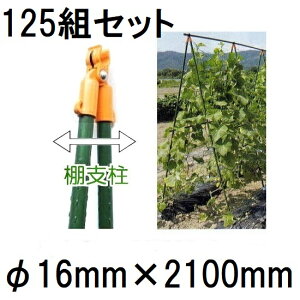 (25g×5Zbg) 16mm×2100mm ̗p Ix 16×2100mm (125gZbg) rj[ (ls @llI) yGNXeA _@ 돤Xz