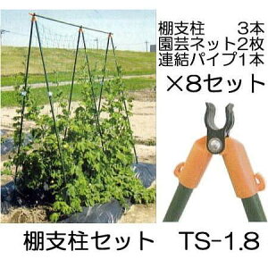 (8Zbg) ̗p IxZbg TS-1.8 (1.8m) ×8pbN rj[ (ls @llI)