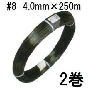 (2Zbg) ZLXC GNZ 8 a4.0mm×250m 2 ϐ@zs