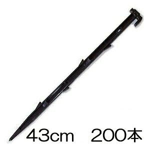 (200{) vX`bNY HR43^ 43cm No.43LcY (\Y vY HR-43 430mm)