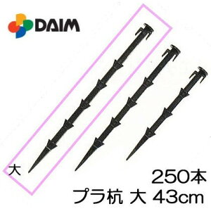 (250{Zbg) vX`bNY vY (43cm) glp pr rj[ (@llI)