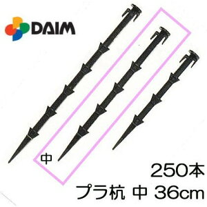 (250{Zbg) vX`bNY vY  (36cm) glp pr rj[ (@llI)