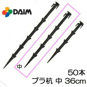  (50{Zbg) vX`bNY vY (36cm) glp pr rj[@zm