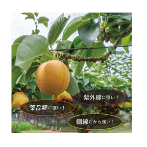 �g������ �ʎ��p�핢���C�� TB-G40-3.2-2.0 �O�a3.2mm �c�a2.0mm ����1000m 32kg (�J���[���C���[ ���|�� �J���[�S�� �ʎ���p���� TWEN EN�� EN32)