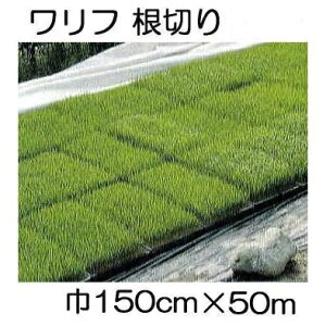  t N-1500 (؂) 150cm×50m 1.5×50m sDz V JXz΃GlM[ mh ۉ ȒPݒu Ռ hJn