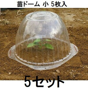 (5×5Zbg) rj[ ch[ cJo[ cLbv 