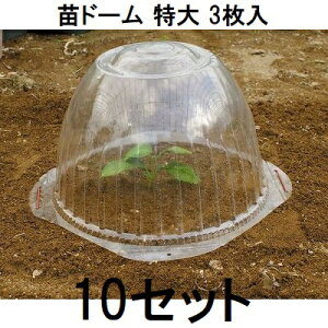 (3×10Zbg) rj[ ch[ cJo[ cLbv 