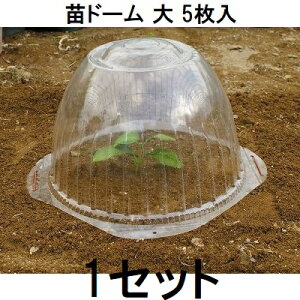 (5) rj[ ch[ cJo[ cLbv 