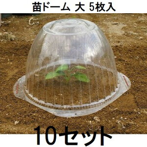 (p5×10Zbg) rj[ ch[ cJo[ cLbv 