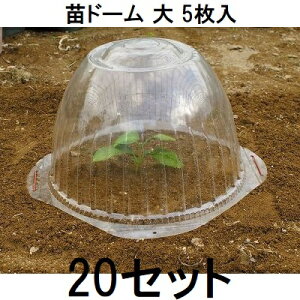 (P[X 5×20Zbg) rj[ ch[ cJo[ @zs