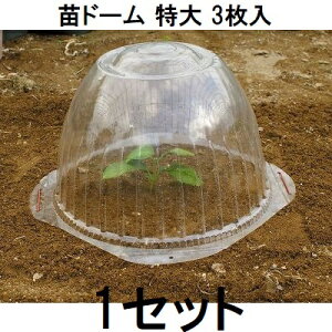(3枚入) 第一ビニール 苗ドーム 苗カバー 苗キャップ 特大