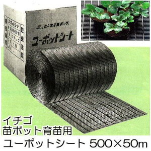 (@l) jbZ [|bgV[g 500mm×50m C`Sc|bgcp~V[g jbZvX`bN |ebN