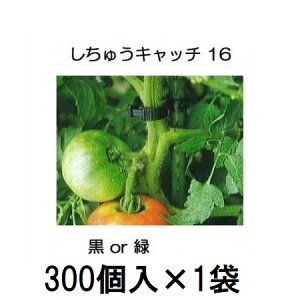 (300×1) U イLb` 16 (or FI) xa16mmp (300) V[ S16B-300 S16G-300@zm