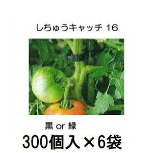 (300×6) U イLb` 16 (or FI) xa16mmp (1800) V[ S16B-300 S16G-300@zm