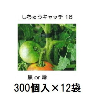 (P[X 300×12) U イLb` 16 (or FI) xa16mmp (3600) V[ S16B-300 S16G-300