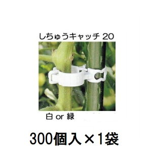 (300��×1��) �U������ �����イ�L���b�` 20 (��or�� �F�I��) �x���a20mm�p (300��) �V�[�� S20W-300 S20G-300�@zm