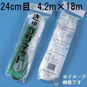 (P[X̔ 120) ˒ LElbg Ԗ24cm×4.2m×18m WB4218  イlbg L[lbg LÊ鐫A̗U ΂̃J[e