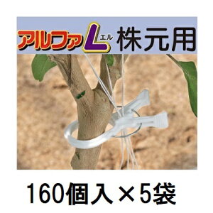 (160��×5��) �����������A���t�@L �����p �傫�Ȍs�� �U������ AL-W160 (800��) �V�[���@zm