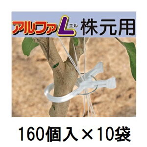 (�P�[�X���� 160��×10��) �����������A���t�@L �����p �傫�Ȍs�� �U������ (1600��) AL-W160 �V�[��