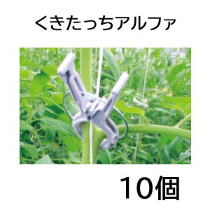 At@ וRp 10 KA-P200cRERΉ sێa24mm V[ U 䂤pPbgł̔ƂȂ܂B