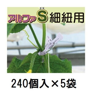 (240��×5��) �U������ �����������A���t�@S �וR�p AS-P240 (1200��) [�U���� ���|�p�i �_�@�� �돤�X] �V�[���@zm