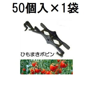 (50��×1��) �U������ �݂肨�낵�͔|�p �Ђ��܂��{�r�� HMB-50 �V�[�� �U���R��t�n�C���C���[�p�@zm