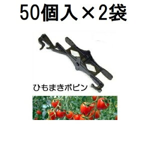 (50��×2��) �U������ �݂肨�낵�͔|�p �Ђ��܂��{�r�� HMB-50 (100��) �V�[�� �U���R��t�n�C���C���[�p�@zm