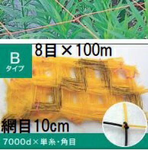 (��or�� �F�I��)�����˒� �t�����[�l�b�g B�^�C�v 10cm�Ԗ�×8��×����100m 7000D B108 (�ԃl�b�g)