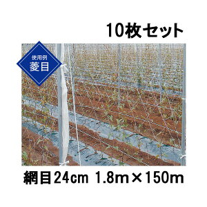 (10���Z�b�g) �����˒� �Ȃ������l�b�g �Ԗ�24cm 1.8m×150m NB18150 ���� �����l�b�g
