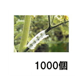 (1000個セット) パスカル オプティフレックスアーチ (サポートクリップ) ［とまと誘引資材 トマト誘引具］ (フレキシブルアーチ 6mm)　zm