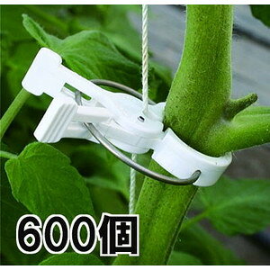 (600) q g}gp a:19.0mm nEX͔|p U iXjbNX(100×6)