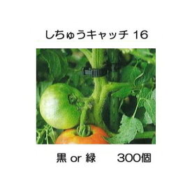 (300個入) 誘引資材 しちゅうキャッチ 16 (黒or緑 色選択) 支柱径16mm用 シーム S16B-300 S16G-300