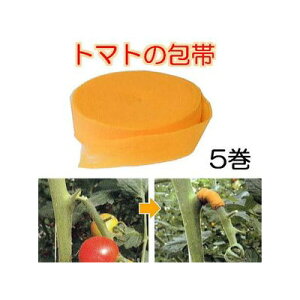 (p5Zbg)g}g̕ IW 25mm×5m ł Lk sb^Œ Ng[fBO (䂤pPbg) (zmN5)