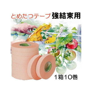 (10Zbg) Ƃ߂e[v p TMT211 11mm×30m j`o U@pSe[v