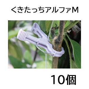 At@M וRp 10 AM-P220cRERΉ sێa15mm V[ U 䂤pPbgł̔ƂȂ܂B