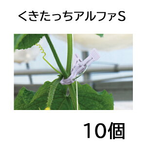 At@S וRp 10 AS-P240cRERΉ sێa11mm V[ U 䂤pPbgł̔ƂȂ܂B
