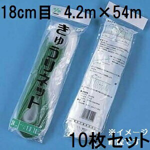 (p10Zbg) ˒ LElbg Ԗ18cm×4.2m×54m WA4254  イlbg L[lbg LÊ鐫A̗U ΂̃J[e