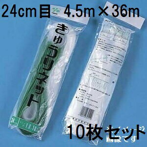 (10Zbg) ˒ LElbg Ԗ24cm×4.5m×36m WB4536  イlbg L[lbg LÊ鐫A̗U ΂̃J[e