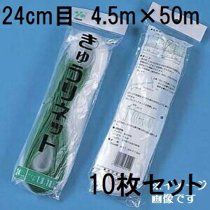 (10Zbg) ˒ LElbg Ԗ24cm×4.5m×50m WB4550  イlbg L[lbg LÊ鐫A̗U ΂̃J[e