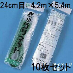 (p10Zbg) ˒ LElbg Ԗ24cm×4.2m×54m WB4254  イlbg L[lbg LÊ鐫A̗U ΂̃J[e