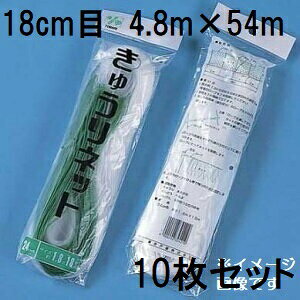 (p10Zbg) ˒ LElbg Ԗ18cm×4.8m×54m WA4854  イlbg L[lbg LÊ鐫A̗U ΂̃J[e