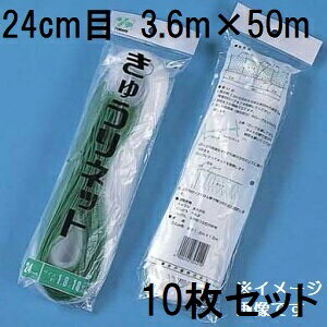 (p10Zbg) ˒ LElbg Ԗ24cm×3.6m×50m WB3650  イlbg L[lbg LÊ鐫A̗U ΂̃J[e