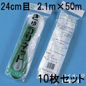 (p10Zbg) ˒ LElbg Ԗ24cm×2.1m×50m WB2150  イlbg L[lbg LÊ鐫A̗U ΂̃J[e