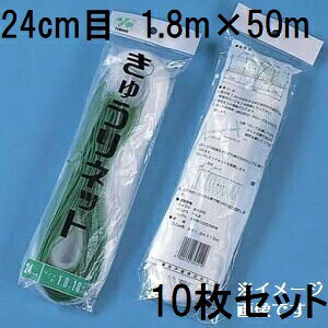 (p10Zbg) ˒ LElbg Ԗ24cm×1.8m×50m WB1850  イlbg L[lbg LÊ鐫A̗U ΂̃J[e