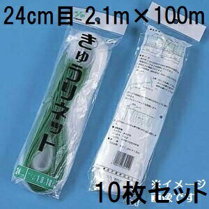 (p10Zbg) ˒ LElbg Ԗ24cm×2.1m×100m WB21100  イlbg L[lbg LÊ鐫A̗U ΂̃J[e