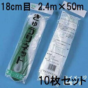 (p10Zbg) ˒ Llbg Ԗ18cm×2.4m×50m WA2450  イlbg L[lbg LÊ鐫A̗U ΂̃J[e