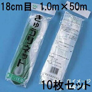 (p10Zbg) ˒ LElbg Ԗ18cm×1.0m×50m WA1050  イlbg L[lbg LÊ鐫A̗U ΂̃J[e