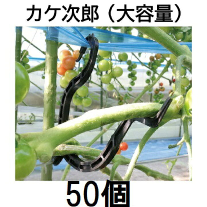 楽天市場】(50個入) トマト誘引資材 たっぷり カケ次郎 大容量 シーム 