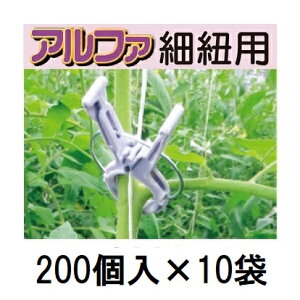 (P[X 200×10) U At@ וRp KA-P200 (2000) p[v  V[ ( UNbv g}g iX s[} } |)