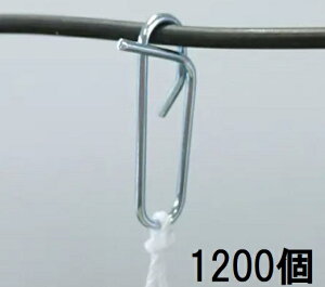 (1200) U q p NbvtbN iXjbNX qp mnEX͔|Up  U |pi _@ 돤Xn